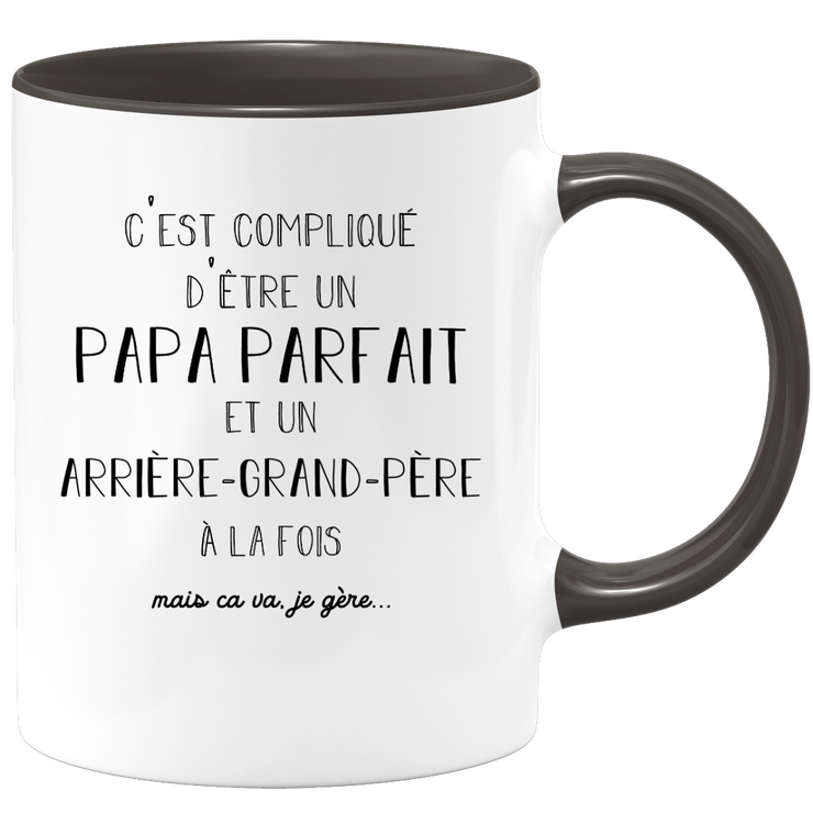 quotedazur - Mug C'est Compliqué D'Être Un Papa Parfait Et Un Arrière Grand Père Mais Ça Va Je Gère - Idée Cadeau Famille, Fête des Grands-Pères, Anniversaire