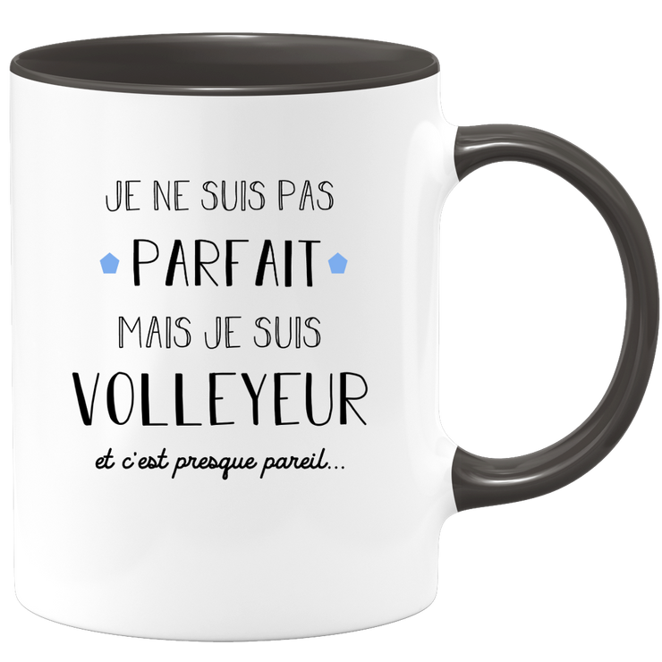 quotedazur - Mug Je Ne Suis Pas Parfait Mais Je Suis Volleyeur  - Cadeau Humour Métier Travail - Idée Cadeau Pot De Départ Chef Mutation - Tasse Cadeau Retraite Noël Au Bureau